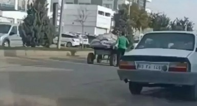 Haliliye’de ata şiddet olayına para cezası ve adli işlem