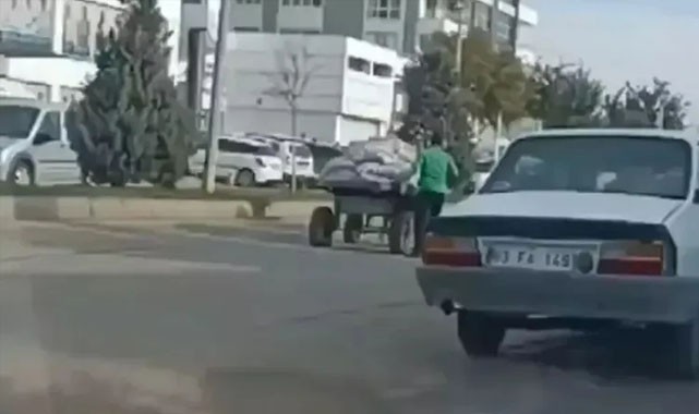 Haliliye’de ata şiddet olayına para cezası ve adli işlem