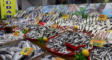 Havalar soğudu balığa talep arttı