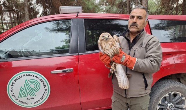Hilvan'da yaralı halde bulunan kuşlar tedavi altına alındı