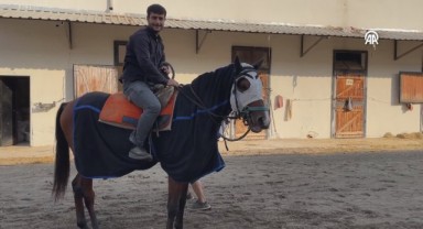 Osmanlı'dan gelen gelenek saf kan Arap atı yetiştiriciliğinde Şanlıurfa ilk sırada