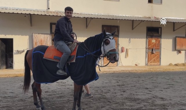 Osmanlı'dan gelen gelenek saf kan Arap atı yetiştiriciliğinde Şanlıurfa ilk sırada