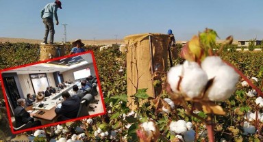 Şanlıurfa’da kurumlar “beyaz altın” için bir araya geldi!