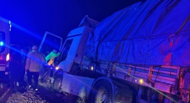 Şanlıurfa plakalı tır şarampole uçtu, sürücü canından oldu