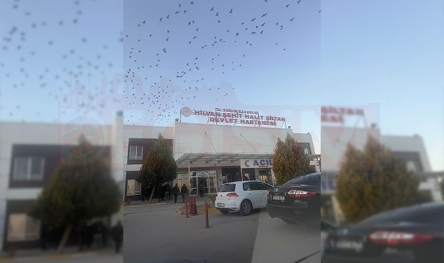 Hilvan'da kamyonun çarptığı kadın hayatını kaybetti