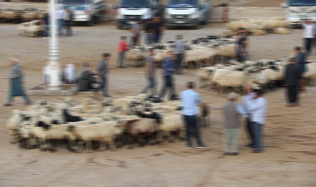 Şanlıurfa’da 17 yaşındaki genç intihar etti!