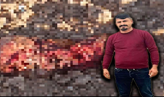 Şanlıurfa'da feci olay: Cesedi parçalanmış halde bulundu!