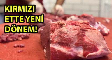 Şanlıurfa’da yeni dönem başlıyor! Bakanlık, kamera sistemiyle takip edecek