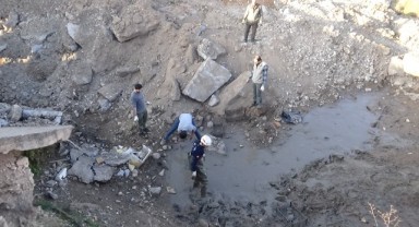 Şanlıurfa'da kaplumbağalara kurtarma operasyonu! 240 can hayata döndü