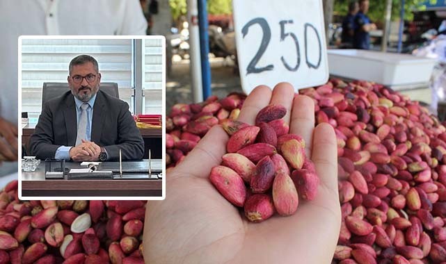 Şanlıurfa'daki fıstık ağacı sayısı belli oldu! Dubai çikolatası...