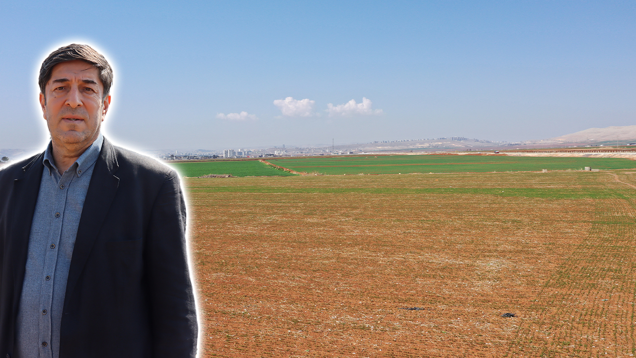 Şanlıurfa'da kuraklık alarmı! Yağmur yok, verim yok