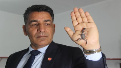 Akrep Ali bakanlık kararına destek verdi