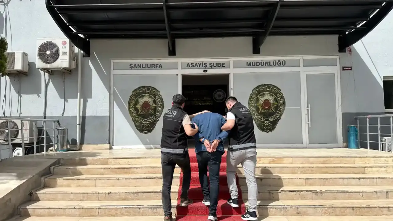 Şanlıurfa’da aranan 12 kişi kapana kısıldı!