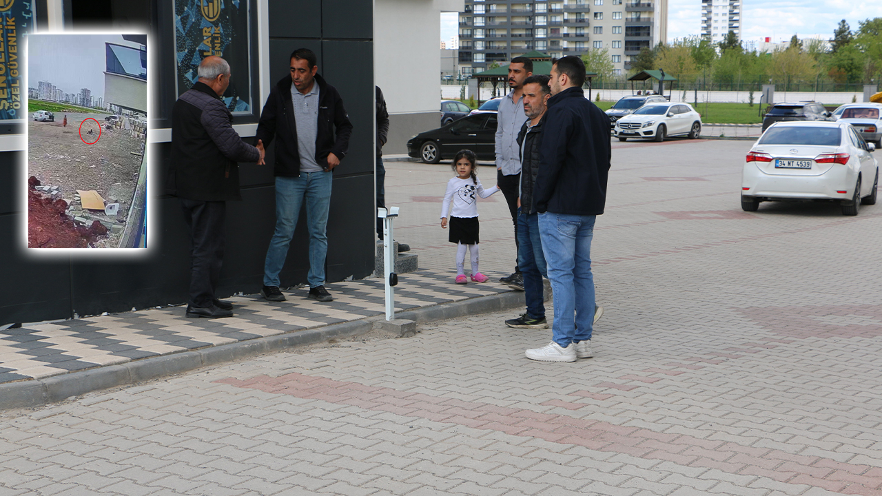 Şanlıurfa’nın ardından Diyarbakır: Köpeklerin saldırısı kamerada