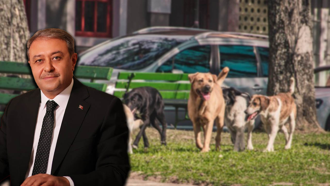 Vali Şıldak’tan 10 Belediyeye sert uyarı! Tarih verildi