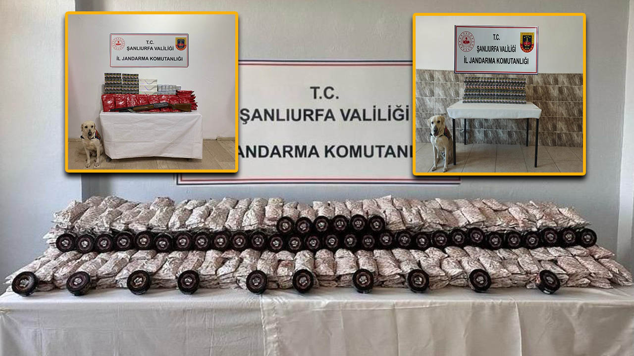 Urfa’nın üç ilçesine şok uygulama: Çok sayıda malzeme yakalandı