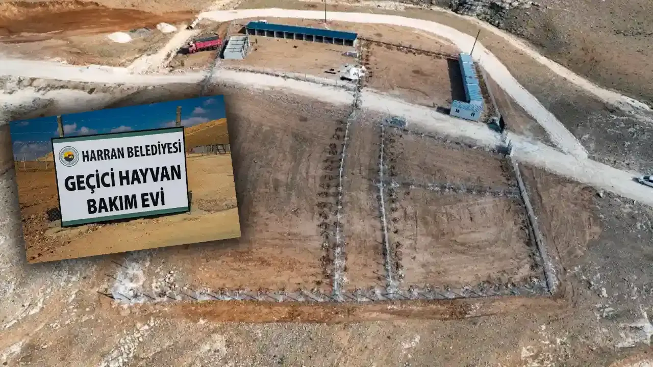 Harran Belediyesi’nden hayvanlar için örnek proje