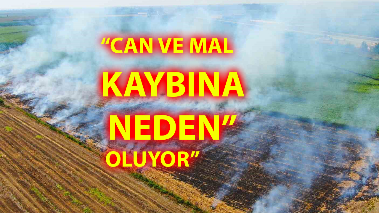 Şanlıurfa’da Anız Yakma Yasaklandı: Cezai İşlem Uygulanacak
