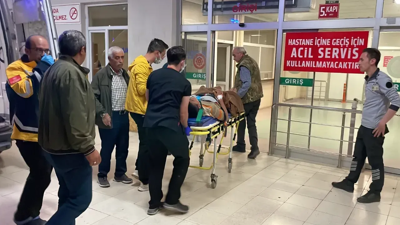 Arazi anlaşmazlığı cinayetle bitti! Eski muhtar kardeşini öldürdü