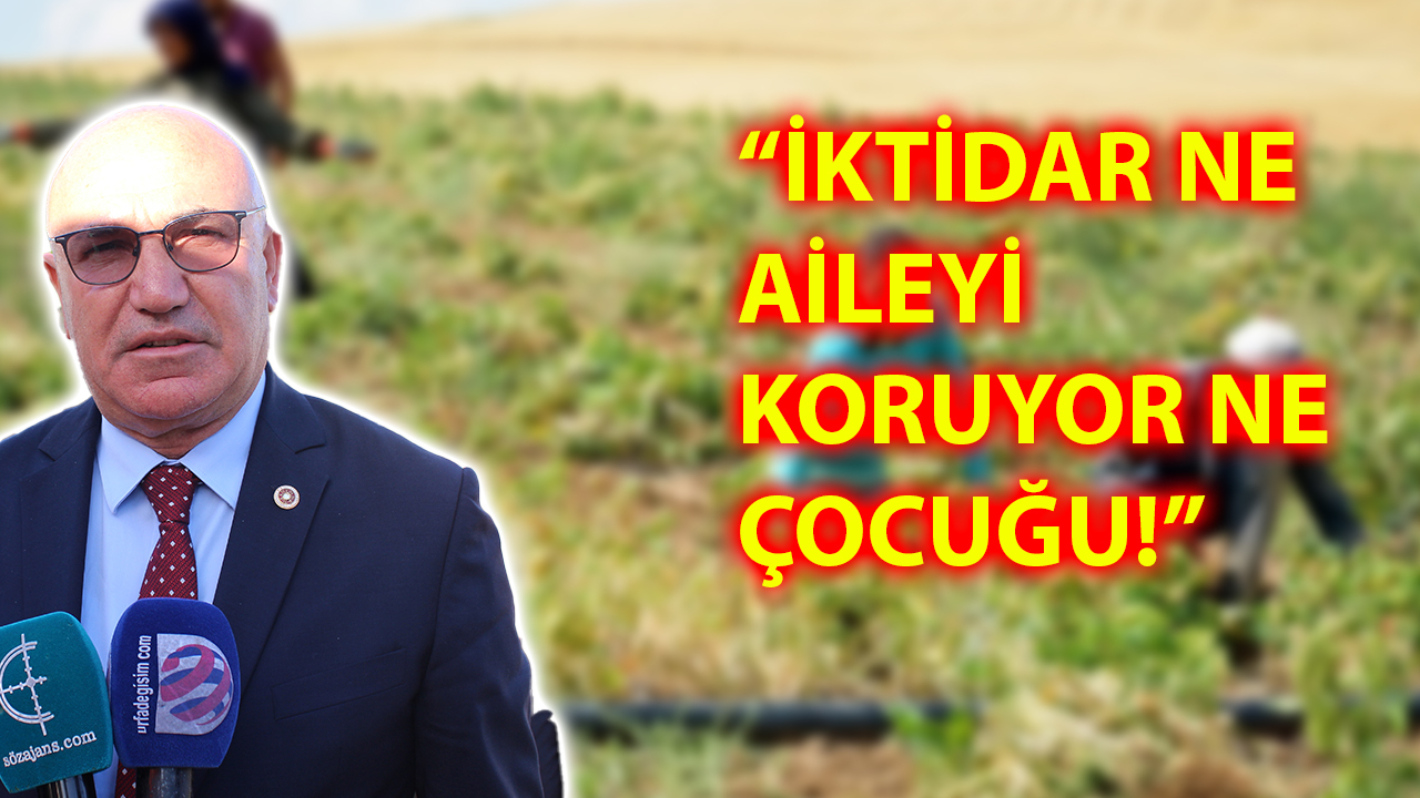 Mahmut Tanal’dan 12 Haziran Mesajı!