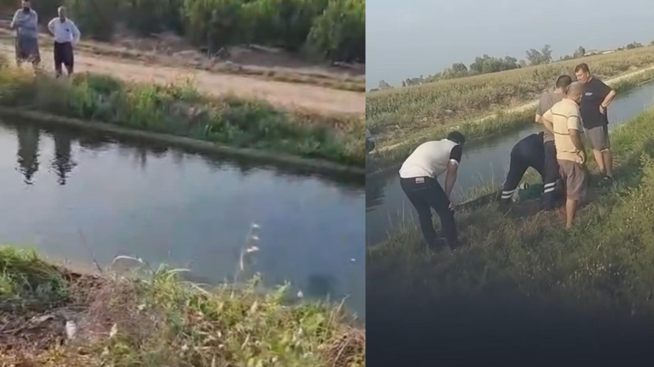Adana'da pikap sulama kanalına devrildi! Baba ve iki kızından acı haber