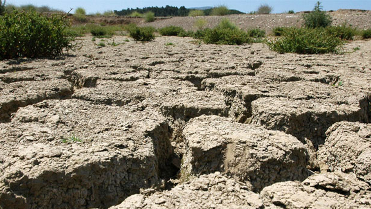 Kuraklık felaketi: 2050’de 1 milyar insan yerinden olacak!