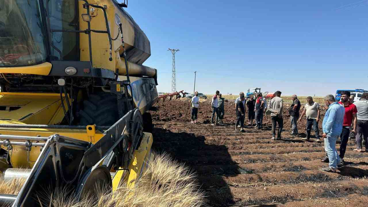 Şanlıurfa'da biçerdöver buğday tarlasını yaktı