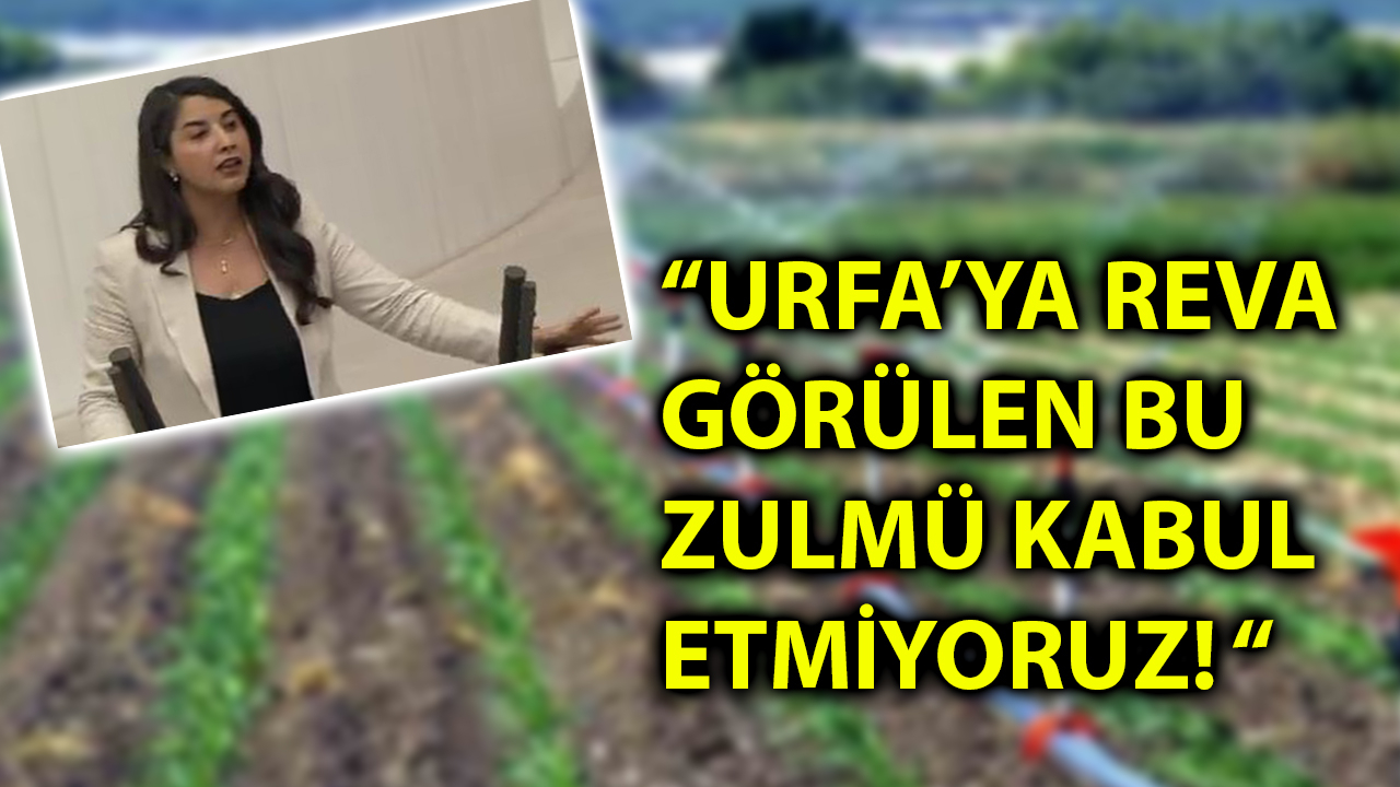 Dilan Kunt Ayan, Meclis'ten Bakanlığa ve Urfa Valiliği’ne seslendi!