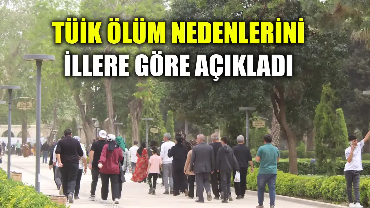 Ölüm nedeni istatistikleri açıklandı! Urfa son sıralarda