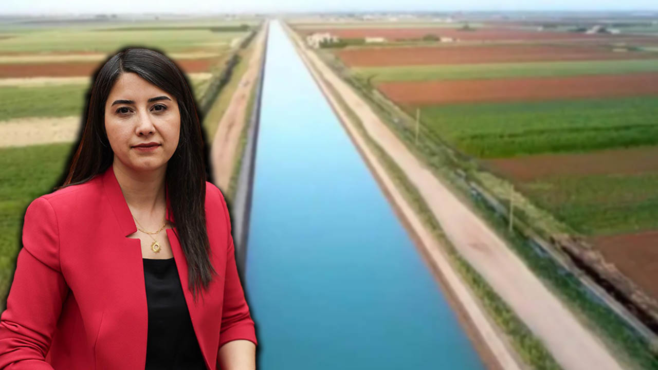 Ayan'dan Tarım Bakanı’na soru önergesi: 300 bin dönüm arazi susuz kaldı