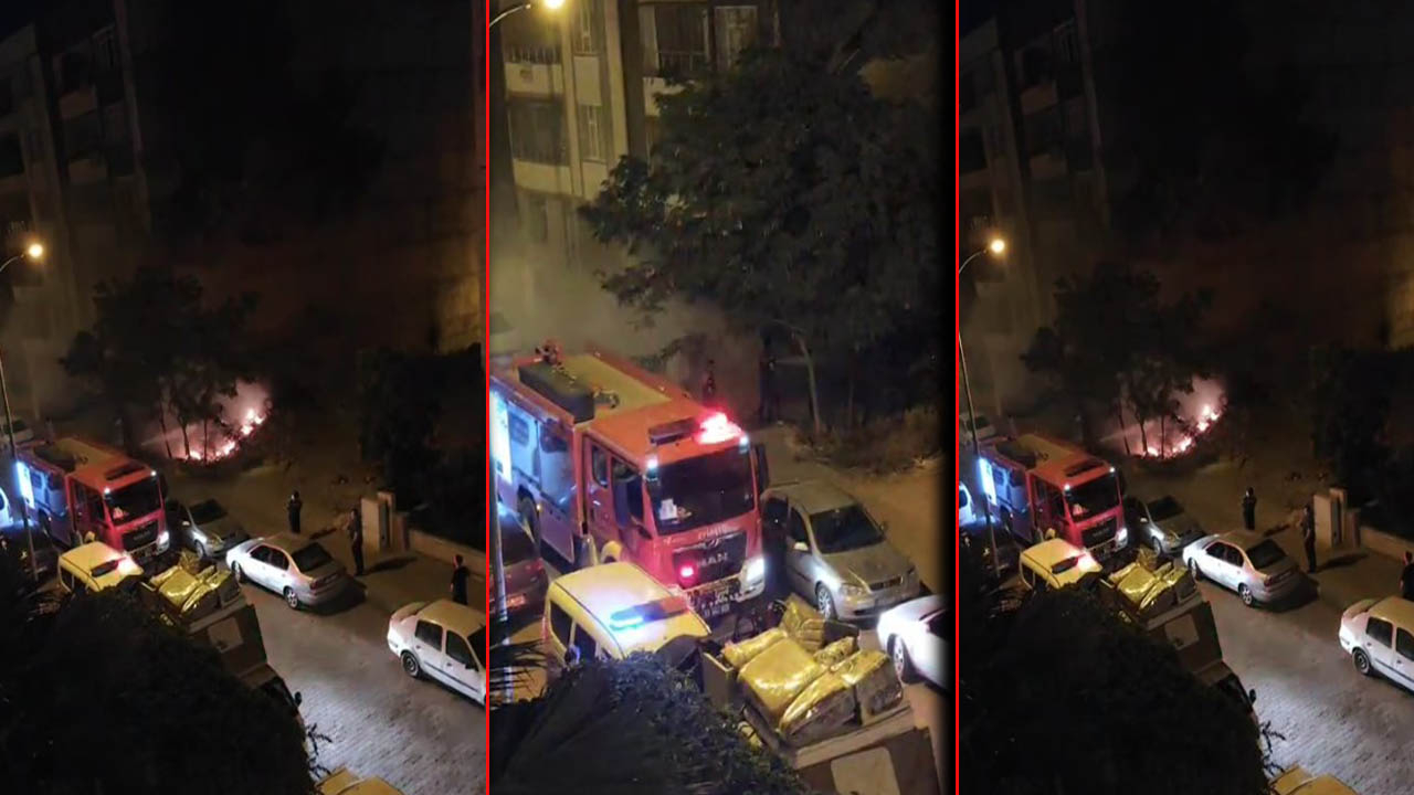 Şanlıurfa’nın göbeğinde yangın! Arsayı ateşe verip kaçtı
