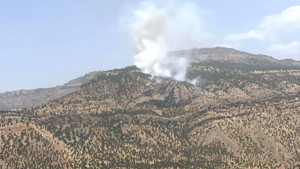 Hakkari Derecik’te orman yangını kontrol altına alındı