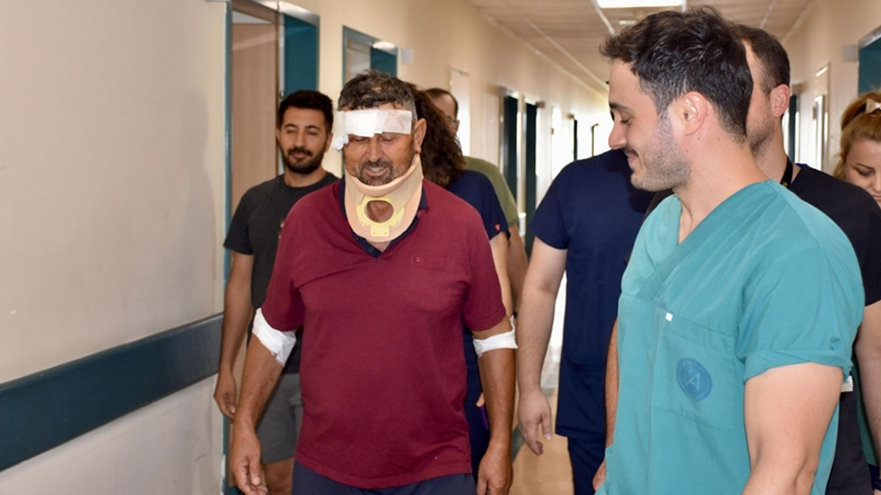 Aslan'ın saldırdığı çoban taburcu oldu: Aslanın bir suçu yok