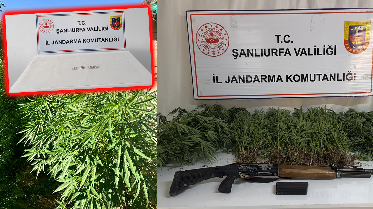 Siverek, Viranşehir ve Haliliye’de zehir tacirlerine büyük darbe!