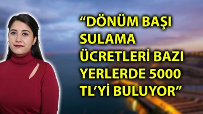 GAP’ın ve tarımın başkentinde “Yok yılı”:  Urfa vekilinden bakanlara çağrı!