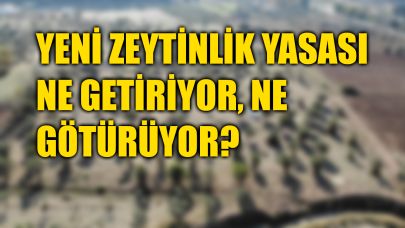 Tartışmaların odağındaki “Zeytinlik Yasası” TBMM’de kabul edildi!