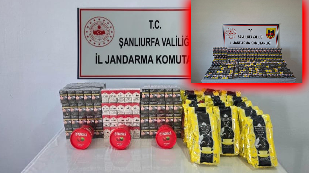 Şanlıurfa’da binlerce kaçak sigara yakalandı: Hassas burunlar iş başında