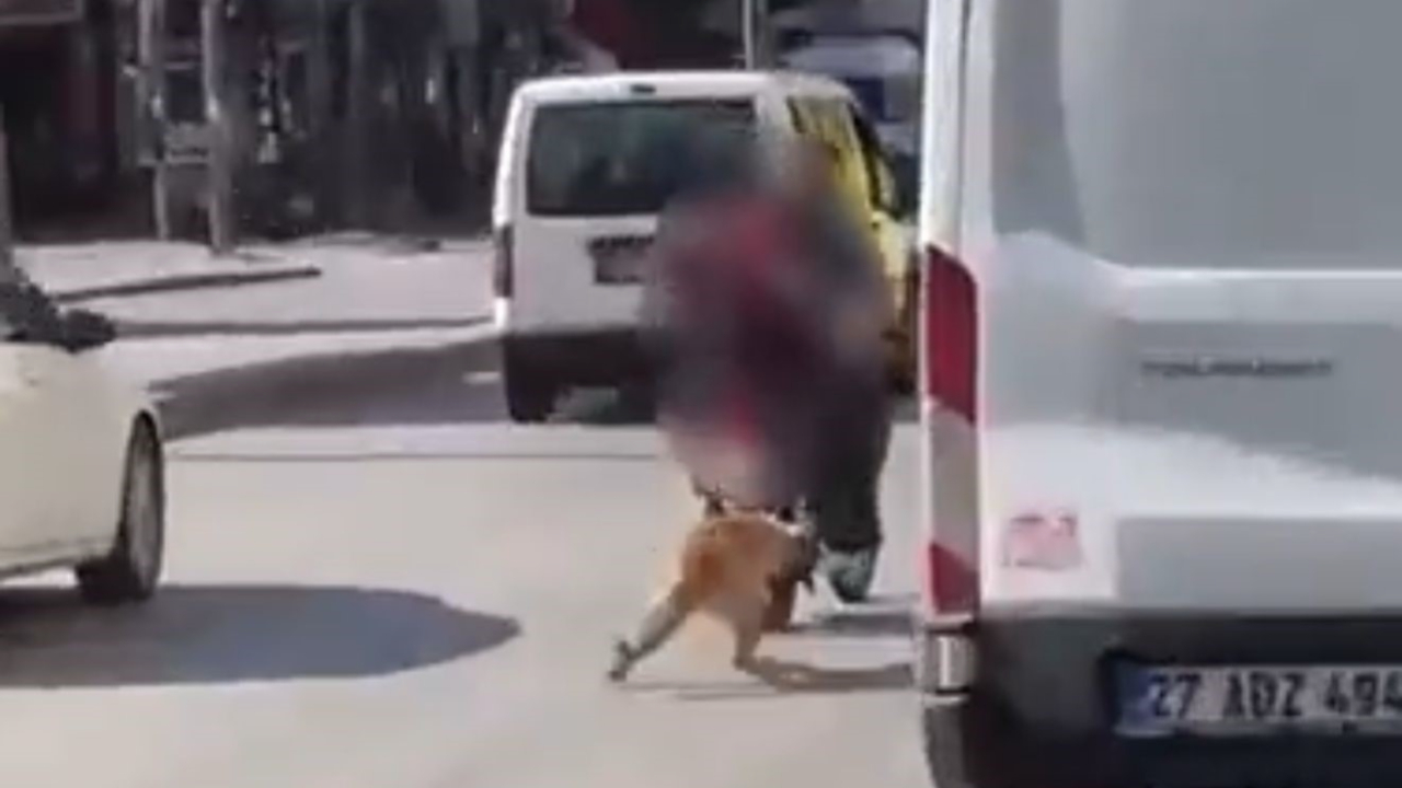 Gaziantep’te vicdanları sızlatan olay: Köpeği motosikletle sürükleyen iki kişi gözaltına alındı