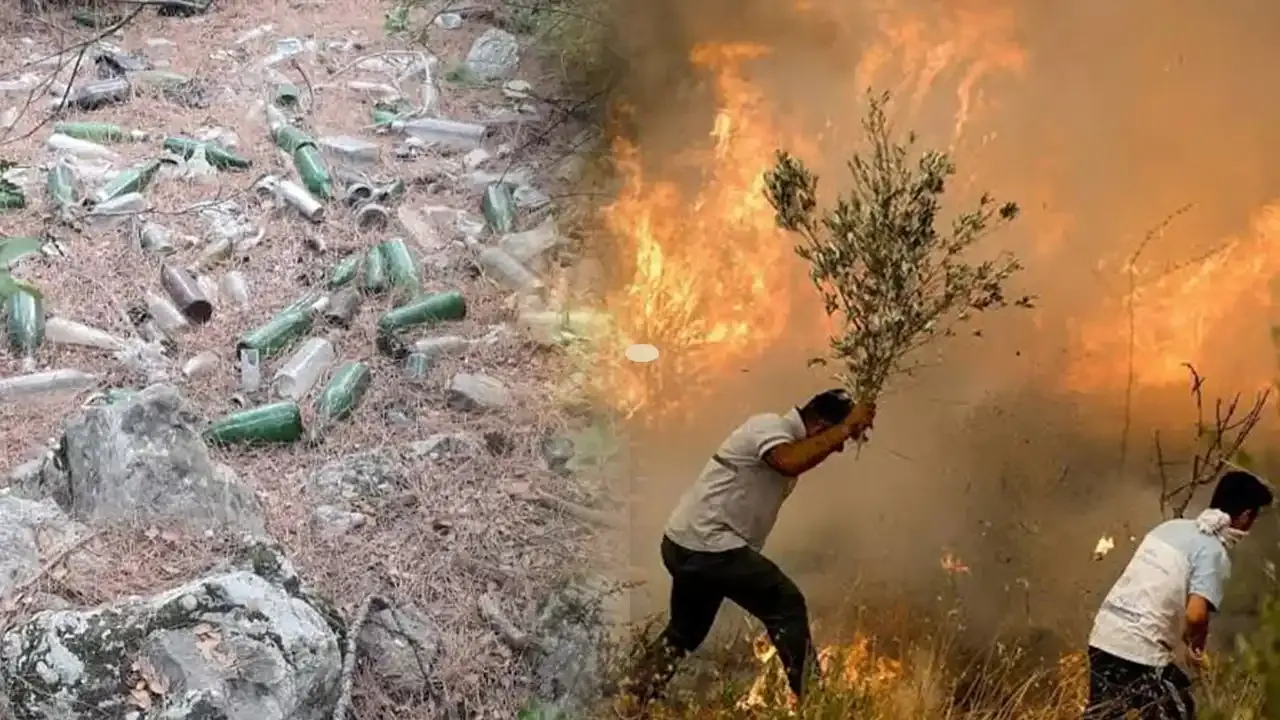 Cam şişeleri doğaya atmadan önce bir kez daha düşünün!