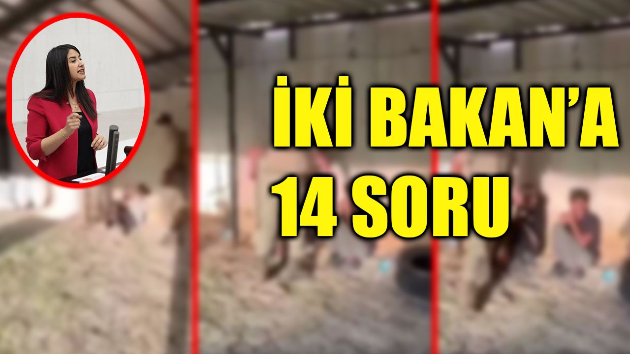 Ceylanpınar’daki şiddet iddiaları Meclis’te: Urfa vekilinden iki bakanlığa çağrı