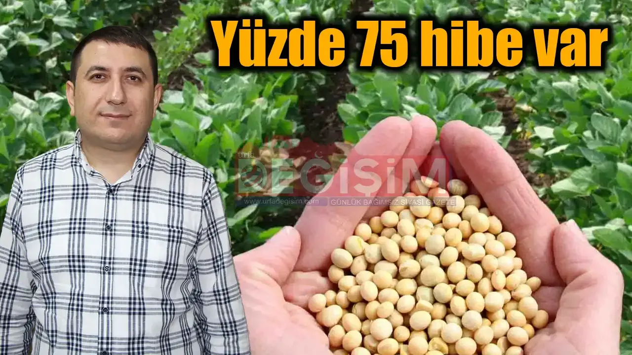 Şanlıurfa’da su alarmı: Mısıra alternatif soya önerisi