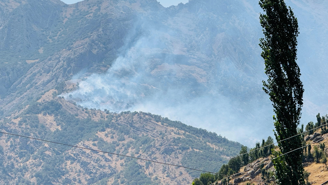 Şırnak'ın Beytüşşebap ilçesinde orman yangını 9 Saatte kontrol altına alındı