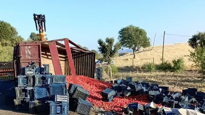 Diyarbakır Çermik’te domates yüklü tır devrildi: Sürücü yaralandı