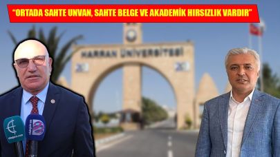 Tanal’dan eski Urfalı vekil Gök hakkında Harran Üniversitesi ve YÖK’e çağrı! Skandal iddia