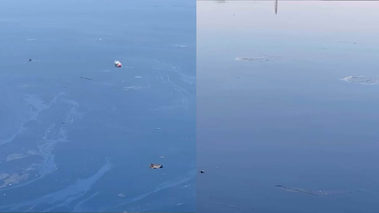 Fırat Nehri’nde yoğun yağ tabakası canlı yaşamını tehdit ediyor