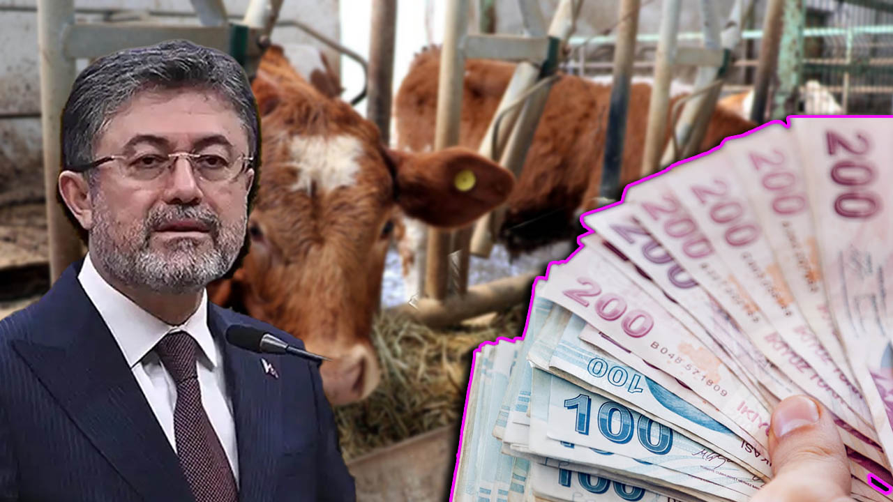 Bakan müjdeyi verdi: Çiftçiye 476 Milyon TL’lik destek bugün hesaplarda