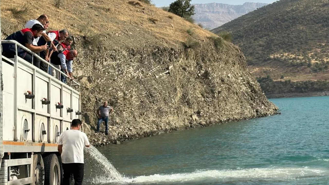 Şanlıurfa’dan Siirt’e canlı destek: 1 milyon balık suya bırakıldı