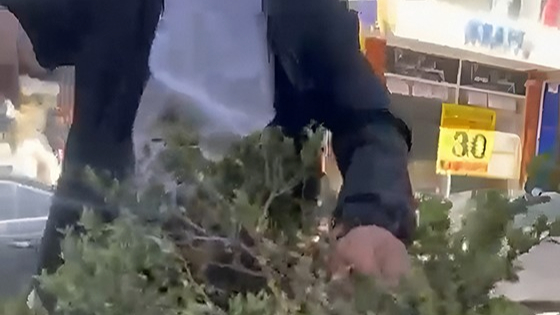 Van’da tefüjdeki çiçek ve fidanlara zarar veren şahıs suçüstü yakalandı