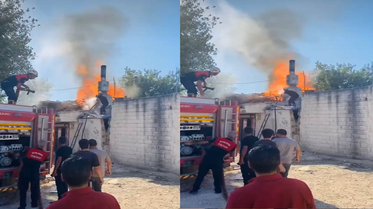 Suruç’ta pide fırınında yangın! Odunluk alevlere teslim oldu