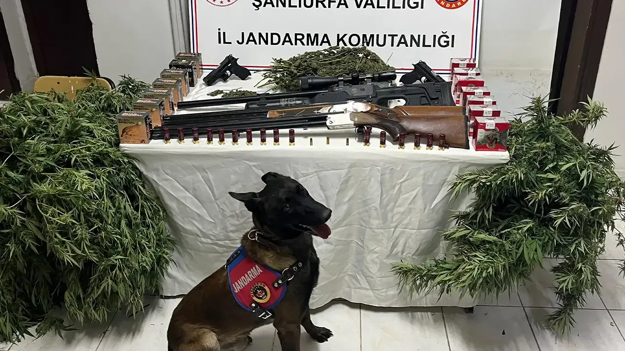 Şanlıurfa'da jandarmadan uyuşturucu ve silah operasyonu